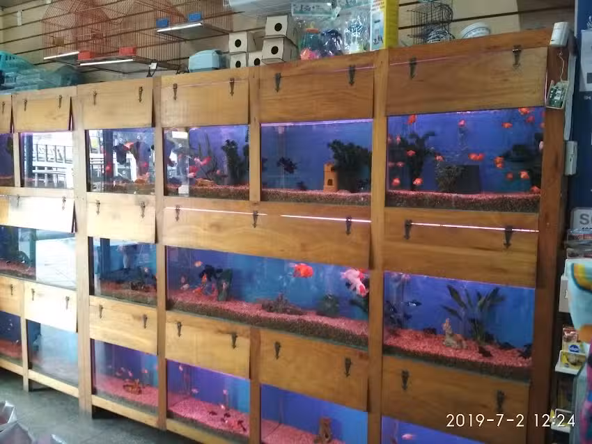 Acuario maji.