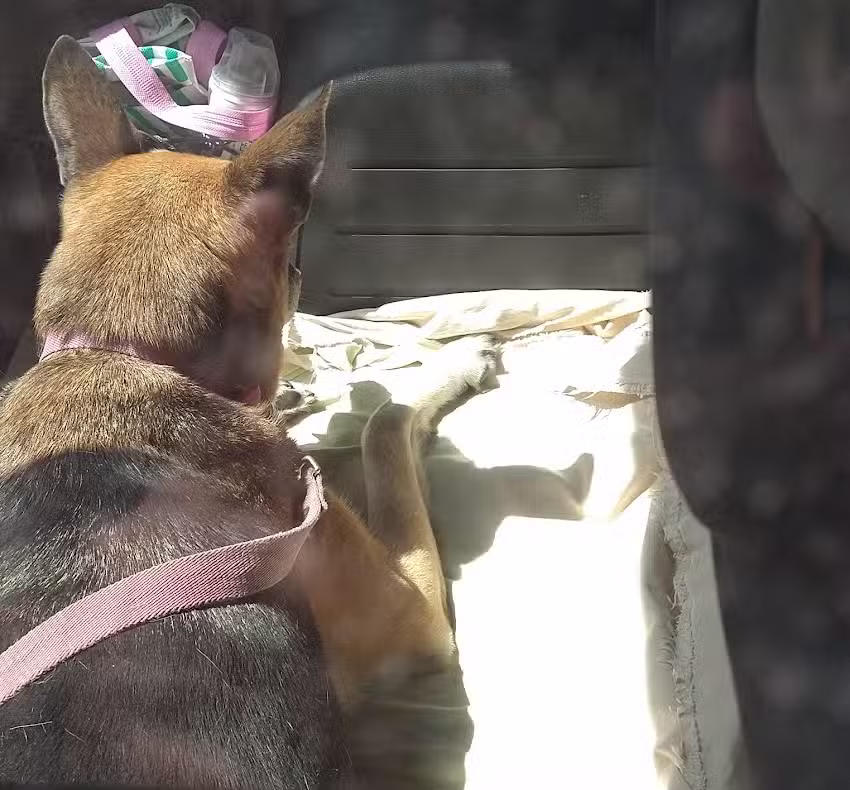 Acuario y Veterinaria Acuican