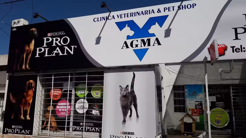 AGMA Veterinaria