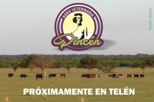 Agro Veterinaria Pinc&eacute;n