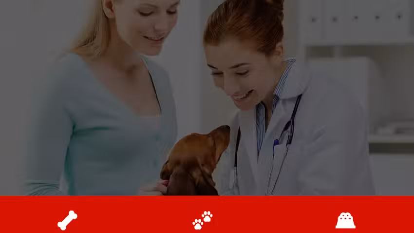 Agro veterinaria Rio Cuarto