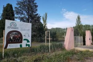 Agroganadera Patagonia