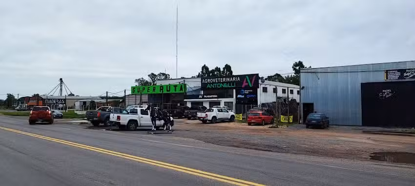 Agroveterina Antonelli