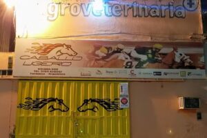 Agroveterinaria CABALLO LIGERO