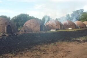 Agroveterinaria La Cotita