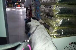 Agroveterinaria La Esquina