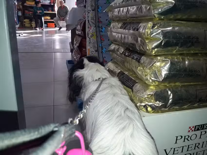 Agroveterinaria La Esquina