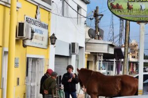 Agroveterinaria “La Matera” Servicios Veterinarios