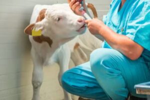 Agroveterinaria La Rural S.R.L.