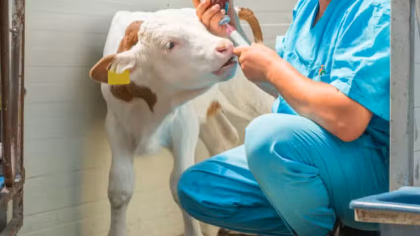 Agroveterinaria La Rural S.R.L.