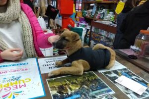 Agroveterinaria Milan S.A.