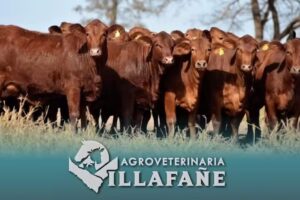 AgroVeterinaria Villafañe