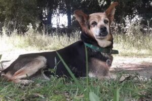 Alejandro Giannoccaro