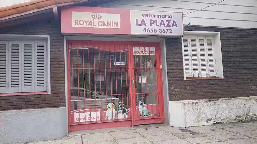 Alejandro R Zuccarelli