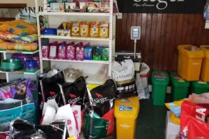 Alimentos para mascotas