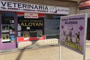 ALOYAN &ndash; CLINICA VETERINARIA