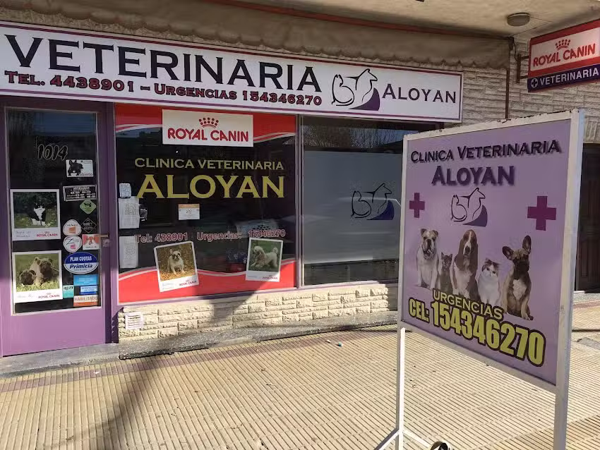 ALOYAN &ndash; CLINICA VETERINARIA
