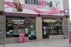 AMEVET Cl&iacute;nica Veterinaria