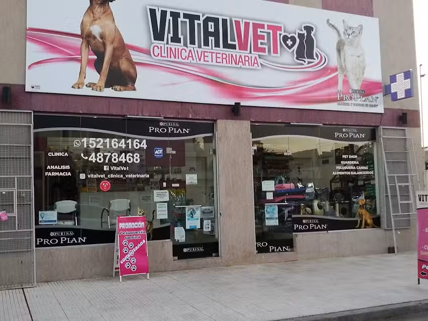 AMEVET Cl&iacute;nica Veterinaria