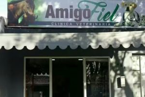 Amigo Fiel