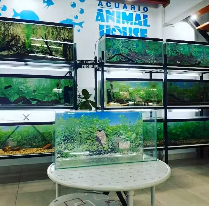 ANIMAL HOUSE. Veterinaria, acuario y pesca.