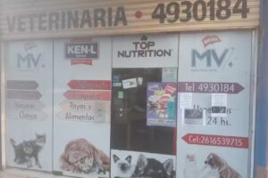 ANT&Aacute;RTIDA CL&Iacute;NICA VETERINARIA