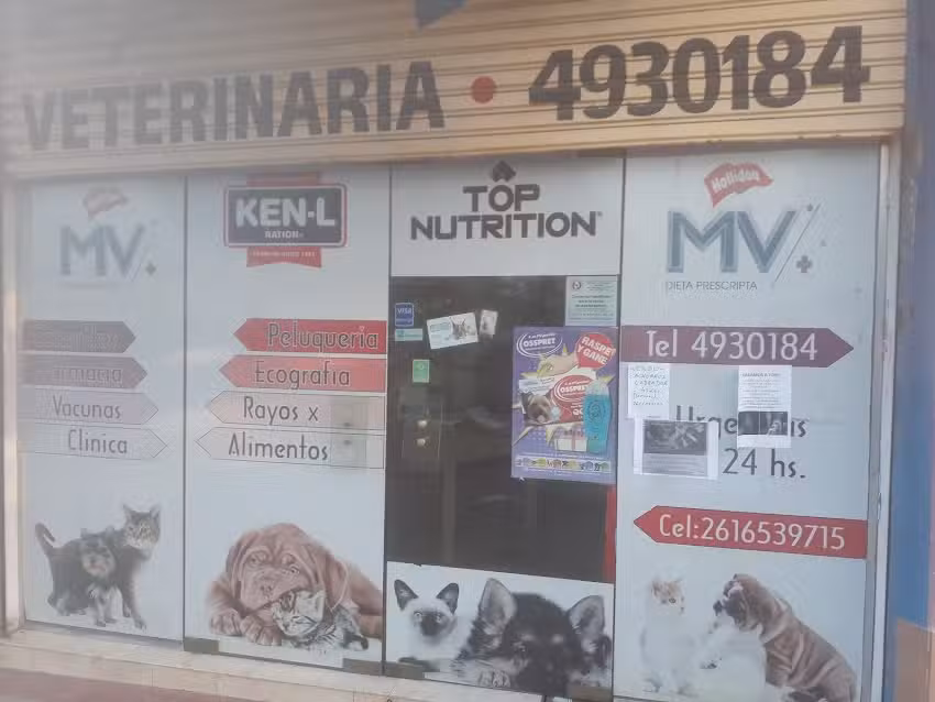 ANT&Aacute;RTIDA CL&Iacute;NICA VETERINARIA