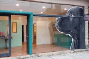 ANTU Peluquer&iacute;a canina, Veterinaria