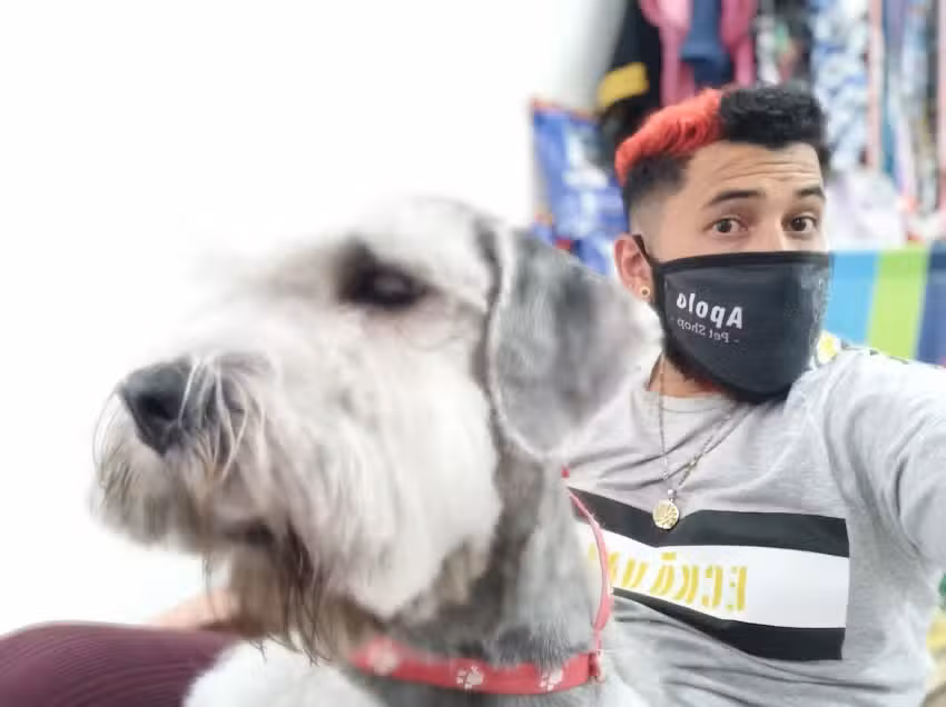 Apolo pet shop