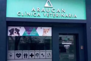 ARAUCAN CL&Iacute;NICA VETERINARIA