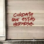 Asesoramiento veterinario