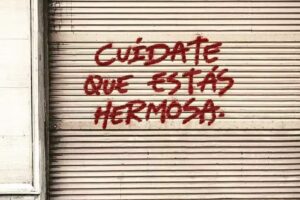 Asesoramiento veterinario