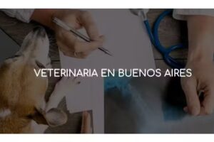 Asistencia Veterinaria a Domicilio