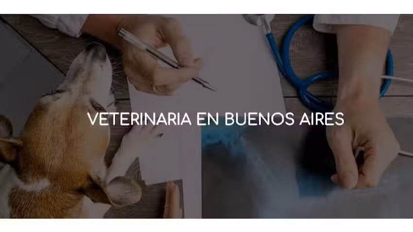 Asistencia Veterinaria a Domicilio