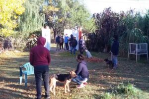 AUPA, Asociaci&oacute;n Unidos Por los Animales.-