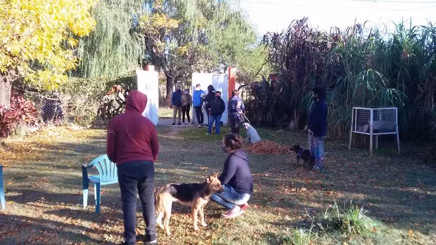 AUPA, Asociaci&oacute;n Unidos Por los Animales.-