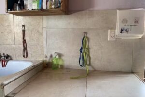 Auxiliar veterinario maximiliano