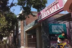 Baistrocchi Roberto Veterinaria