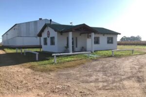 Bay&aacute; Casal S.A.