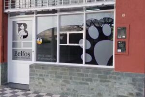 Belfos clínica veterinaria