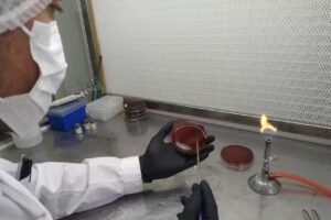 Biafar Sanidad Animal S.r.l.