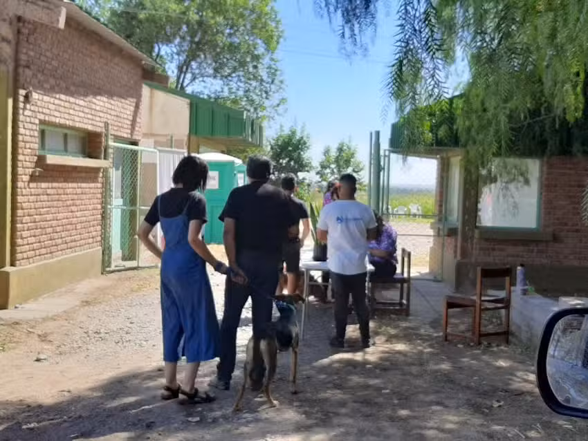 bienestar animal Neuquen