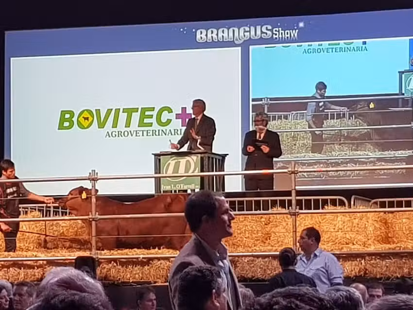 Bovitec Agroveterinaria Corrientes Todo Para El Campo