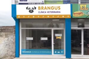 Brangus Veterinaria
