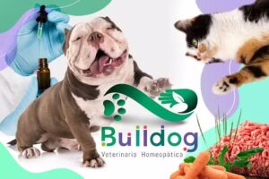 Bulldog – Veterinaria Homeopática