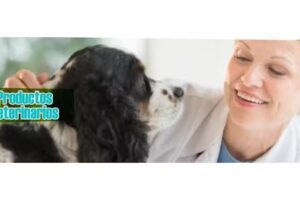 C & N Distribuciones