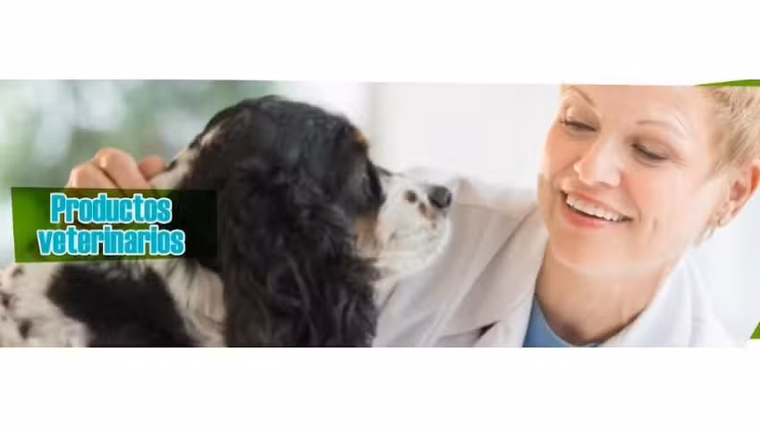 C & N Distribuciones