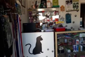 Calic&ograve; Veterinaria