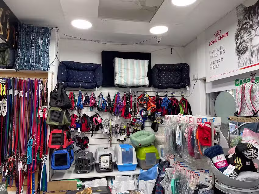 Casper Pet Store G&uuml;emes 2987