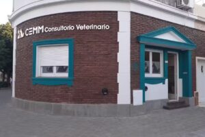 CEMM veterinaria